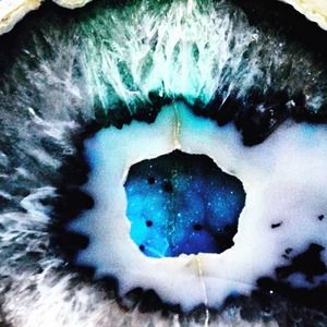 Meet your Posher, Bridgett